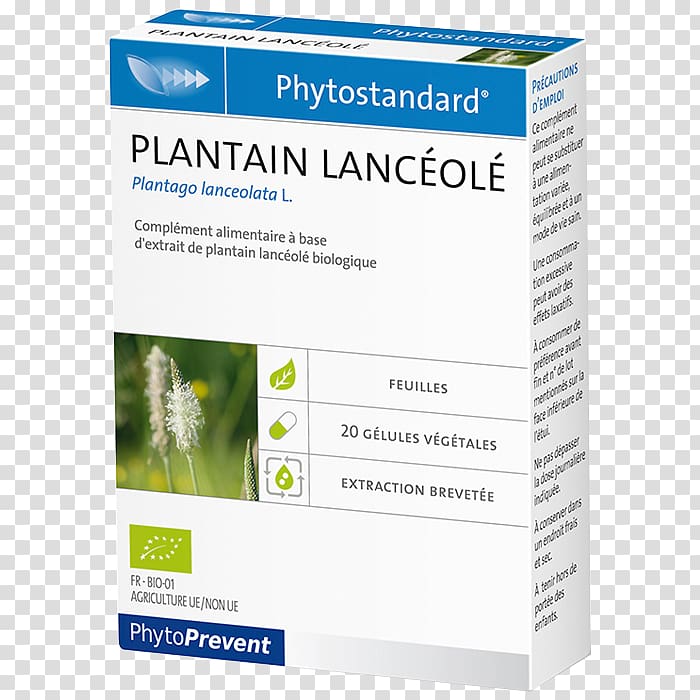 Dietary supplement Pharmacy Morance Coneflower Capsule, plantain transparent background PNG clipart