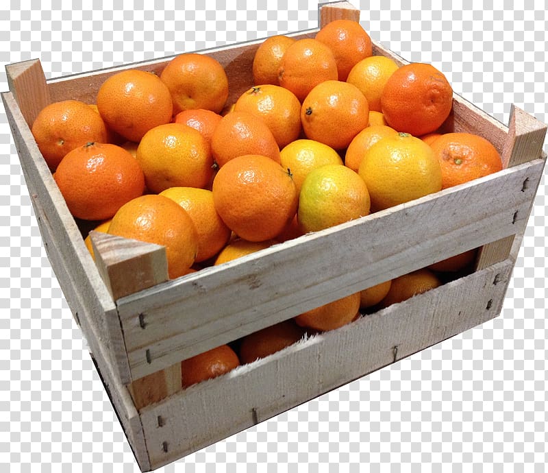 Clementine Algarve Mandarin orange Tangerine, mr transparent background PNG clipart