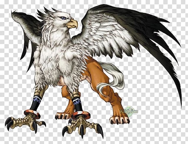 Legendary creature Griffin Mythology Phoenix, Griffin transparent background PNG clipart
