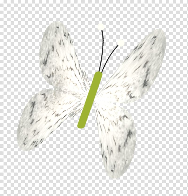Butterfly Bombycidae Insect, White Butterfly transparent background PNG clipart