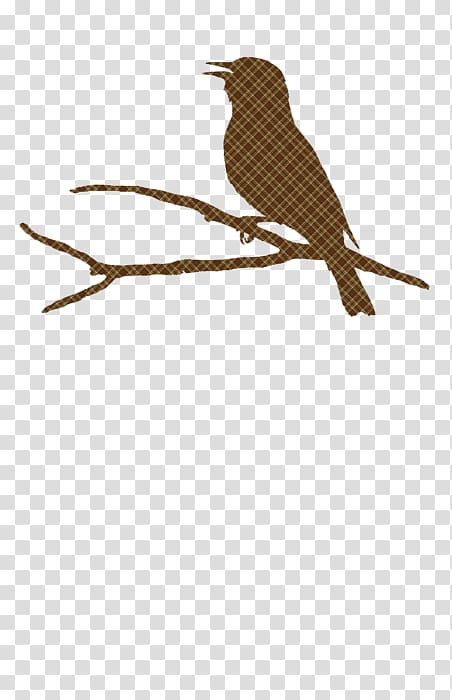 Wren Beak Fauna Cuckoos Feather, Rustic Brown transparent background PNG clipart