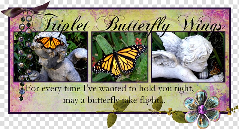 Brush-footed butterflies Butterfly Song Dizigotiniai dvyniai My Darkest Days, butterfly transparent background PNG clipart