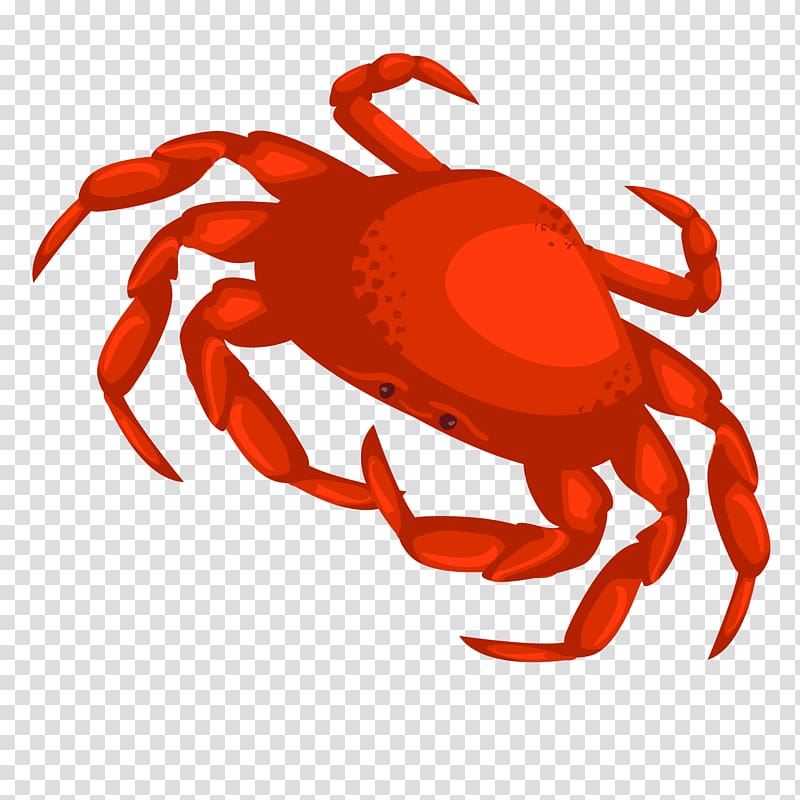 Dungeness crab, hand-drawn cartoon crab transparent background PNG clipart