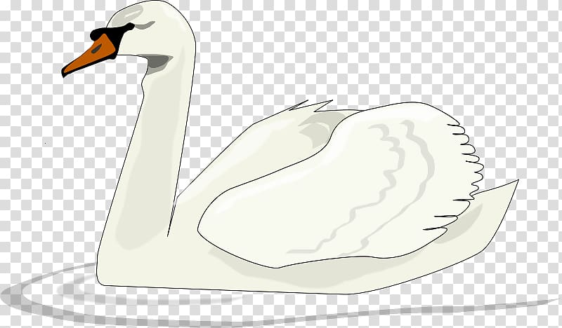 Black swan Swan Lake , Cartoon Swan transparent background PNG clipart