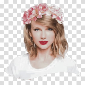 Taylor Swift Discography Sticker