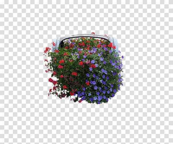 Flowery Branch , Floral design windows transparent background PNG clipart