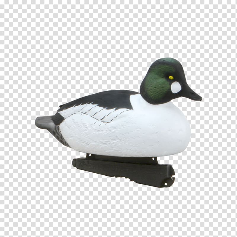 Mallard Duck Hunt Waterfowl hunting, duck transparent background PNG clipart
