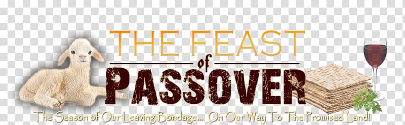 Passover sacrifice Festival 0, passover transparent background PNG clipart