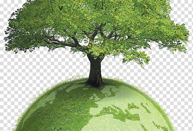 Environmentally friendly Sustainability Sustainable development Paper Environmentalism, Caring for the earth protection of trees transparent background PNG clipart