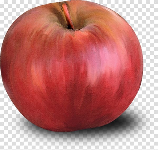 Apple, Hand-painted red apple transparent background PNG clipart