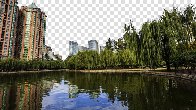 Tuanjiehu Park Beijing Landscape, Beijing Tuanjiehu Park Landscape transparent background PNG clipart