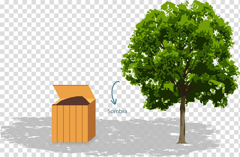 Root Fruit tree Arborist , tree transparent background PNG clipart