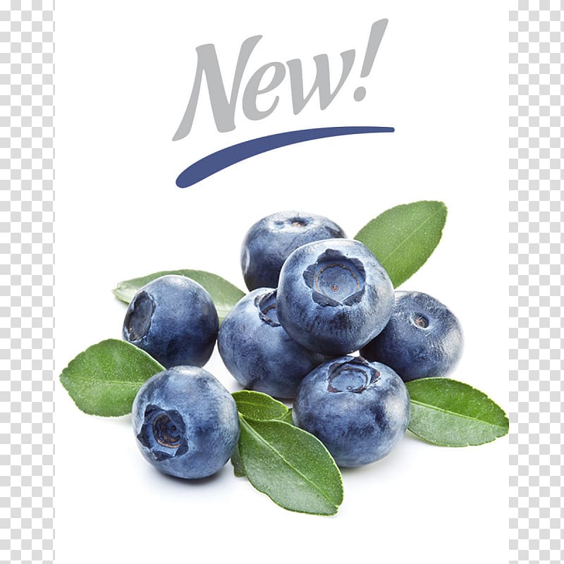 Blueberry Vaccinium corymbosum Bilberry Flavor, blueberry transparent background PNG clipart