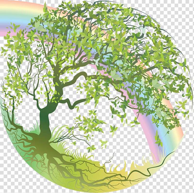 Tree of life Forest Sophrology, environment transparent background PNG clipart