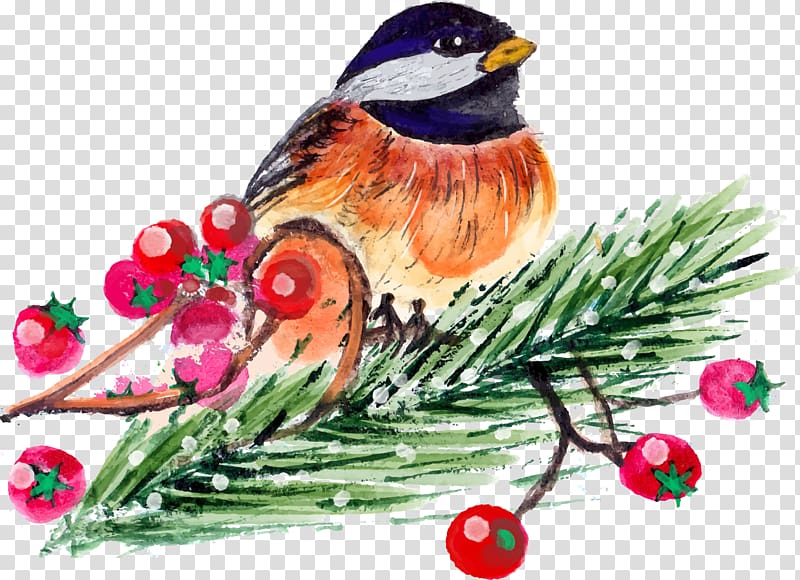 Christmas Bird Count Christmas Bird Count, Christmas bird painting transparent background PNG clipart