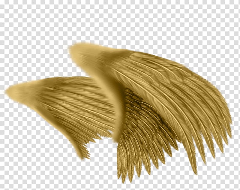 Drawing Angel Feather , Wings pattern material transparent background PNG clipart