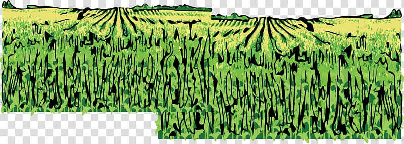 University of Nebraska State Museum Nebraska 150 Celebration Lincoln County, Nebraska Fossil Barley, maize field transparent background PNG clipart