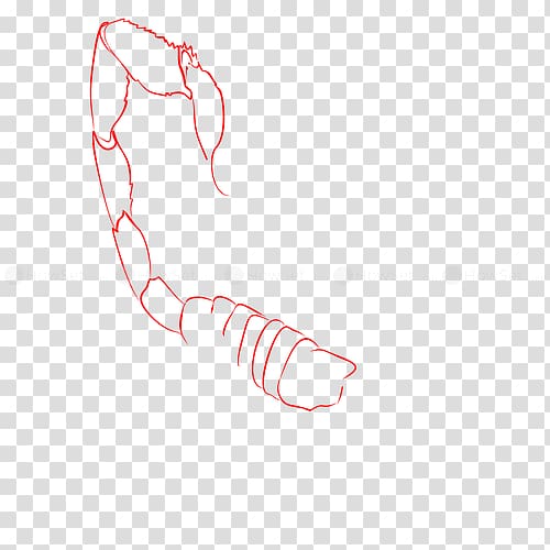 Drawing Finger Scorpion , SCORPION CARTOON transparent background PNG clipart