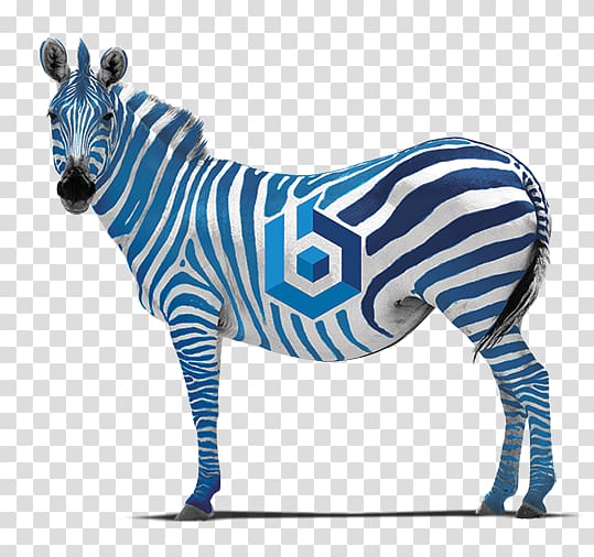 Quagga Zebra Horse Frames painting, zebra transparent background PNG clipart