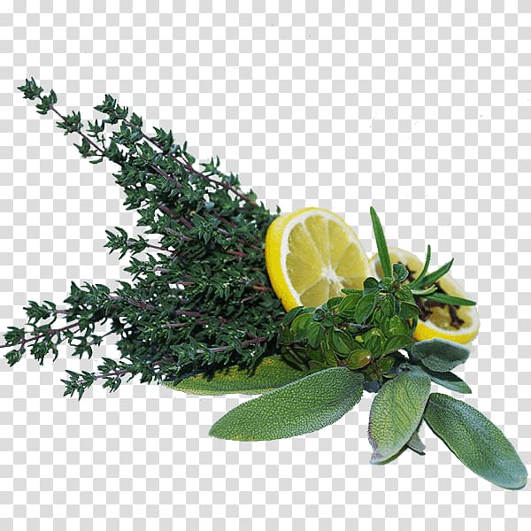 Mediterranean cuisine Garden Thyme Common sage Herb Rosemary, citrus transparent background PNG clipart