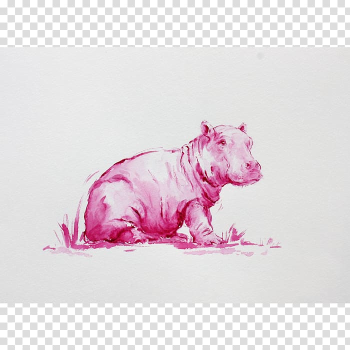 Canidae Pig Dog Pink M Drawing, pig transparent background PNG clipart