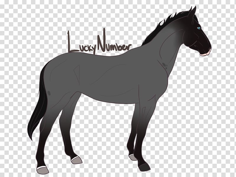 Pony Mare Stallion Mustang Foal, gentle and quiet transparent background PNG clipart