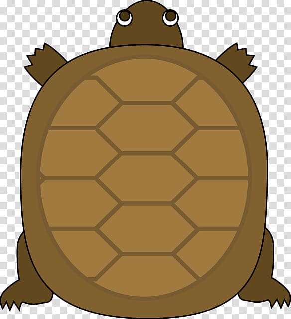 Turtle Reptile The Tortoise and the Hare , tortoide transparent background PNG clipart