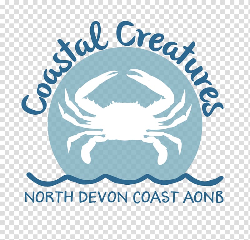 Georgeham Parish Council Croyde Coastal Blues: Mrs. Howard's Guide to Decorating with the Colors of the Sea and Sky Science, coastal transparent background PNG clipart