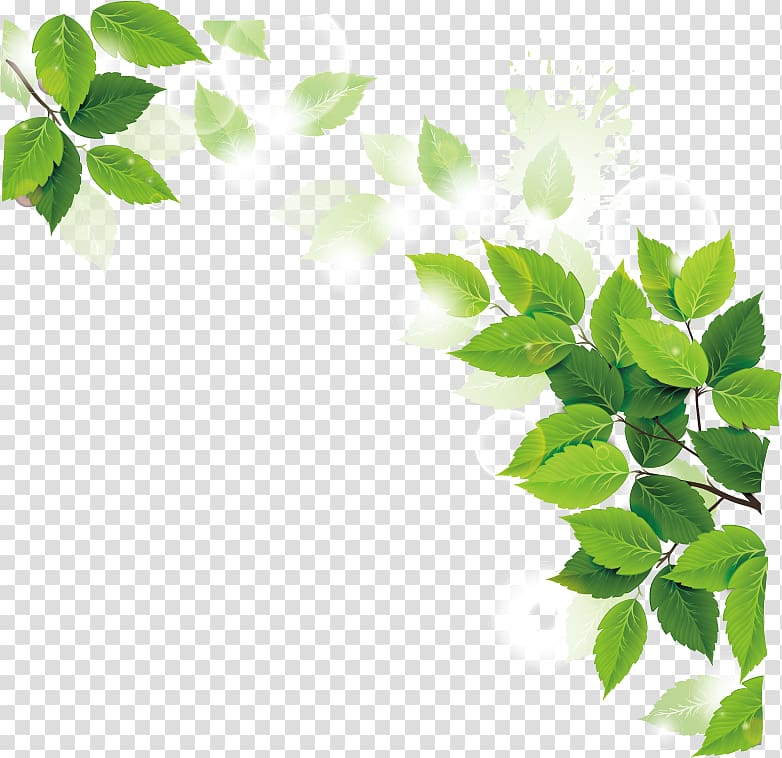 green leafed plants illustration, Ramadan Iftar Muslim Fasting in Islam Allah, leaves decoration transparent background PNG clipart