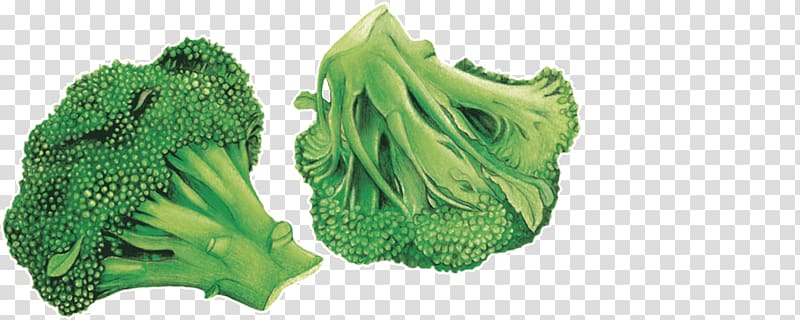 Leaf vegetable Broccoli Chou Blog Association Kokopelli, choux chinois transparent background PNG clipart