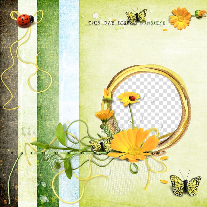 Butterfly frame Drawing, Flowers and butterflies ladybug frame transparent background PNG clipart