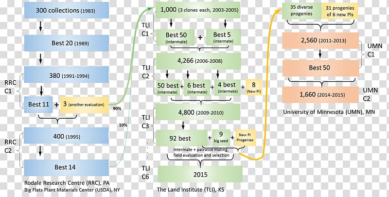 Genomics Genome Plant breeding Marker-assisted selection Association mapping, wheatgrass transparent background PNG clipart