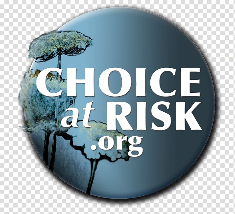 Film director Film Producer Documentary film Menlo Park Risk, risk transparent background PNG clipart