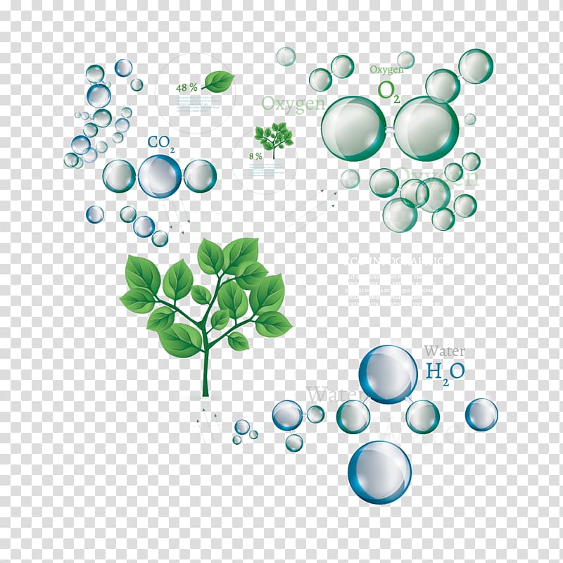 green eco infographics illustration, Tree Euclidean , bubbles and tree transparent background PNG clipart
