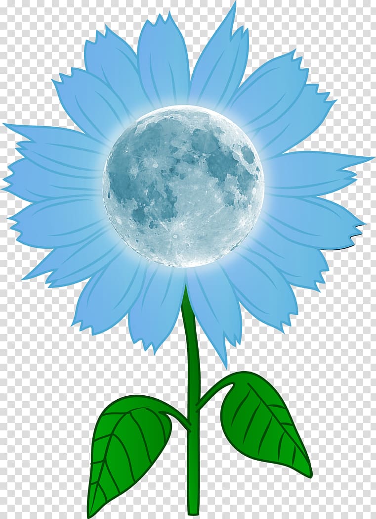 Common sunflower Drawing , moon flower transparent background PNG clipart