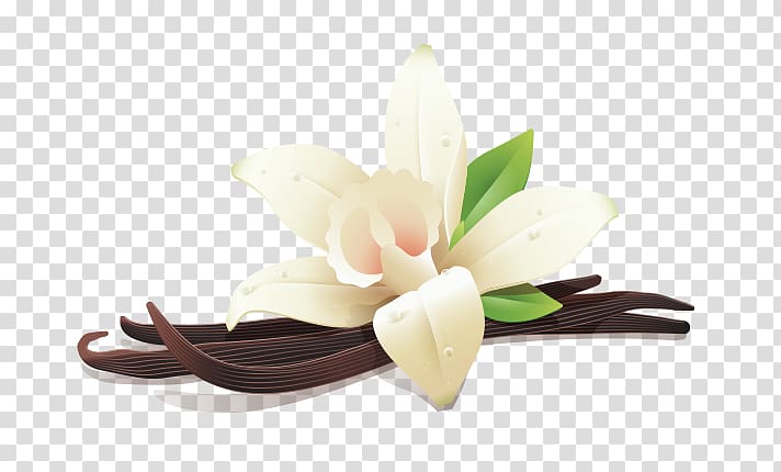 Flat-leaved vanilla Whey Kajang Flavor, others transparent background PNG clipart