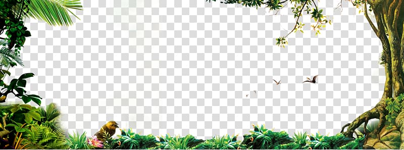 jungle transparent background PNG clipart