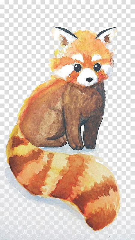 red panda painting, Red panda The Giant Panda Bear Drawing, Watercolor small raccoon transparent background PNG clipart