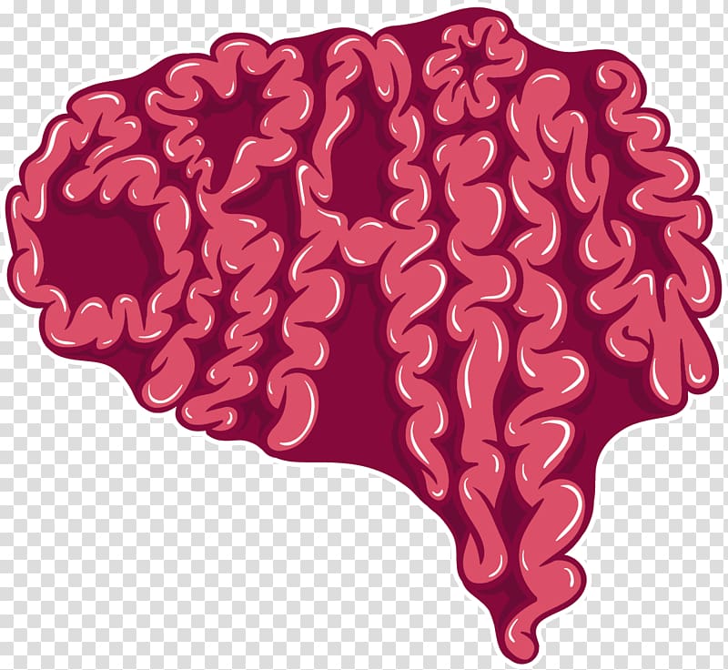 Human brain Cerebrum, brain brain transparent background PNG clipart