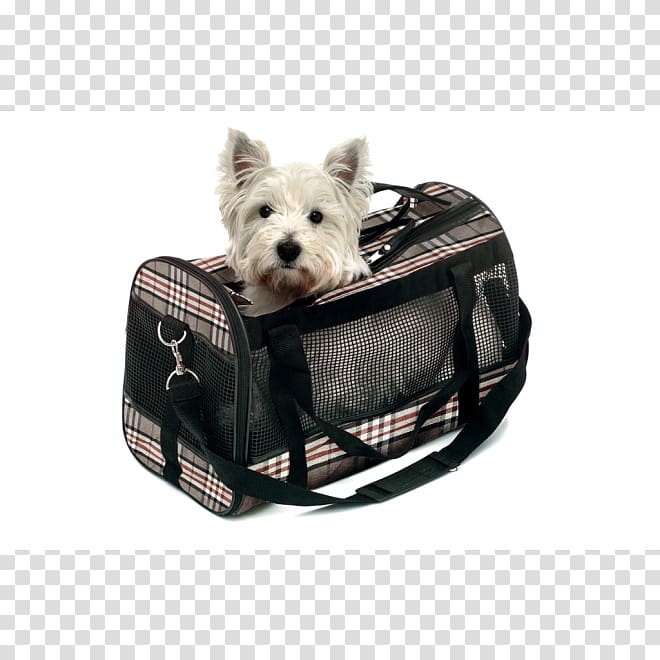 Dog Lucas Y Lola Handbag Cat, british style transparent background PNG clipart