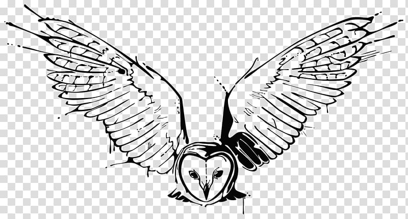 Owl Drawing Tattoo Sketch, owl tattoo transparent background PNG clipart