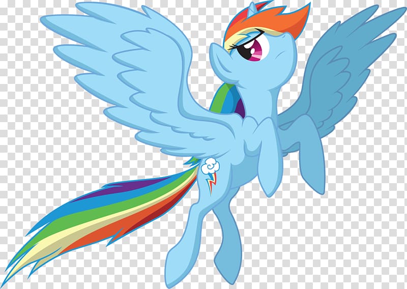 My Little Pony Rainbow Dash Fluttershy Winged unicorn, My little pony transparent background PNG clipart