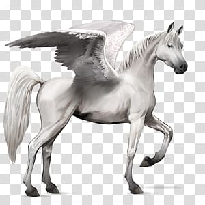 Pegasus transparent background PNG clipart