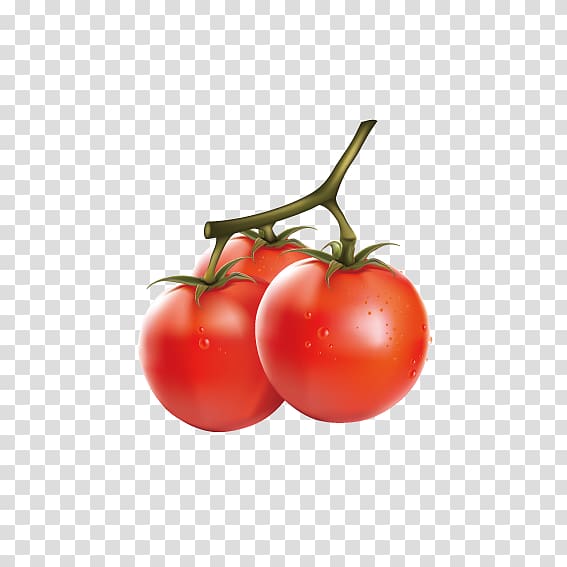 Cherry tomato Vegetable Fruit , Delicious Tomatoes transparent background PNG clipart