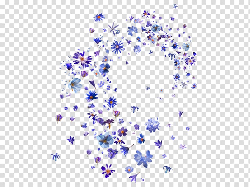 Petal Flower Sticker PicsArt Studio Morning glory, flower transparent background PNG clipart