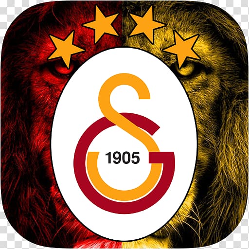 Galatasaray S.K. Football Türk Telekom Stadium Fenerbahçe S.K. Bülent Forta, football transparent background PNG clipart