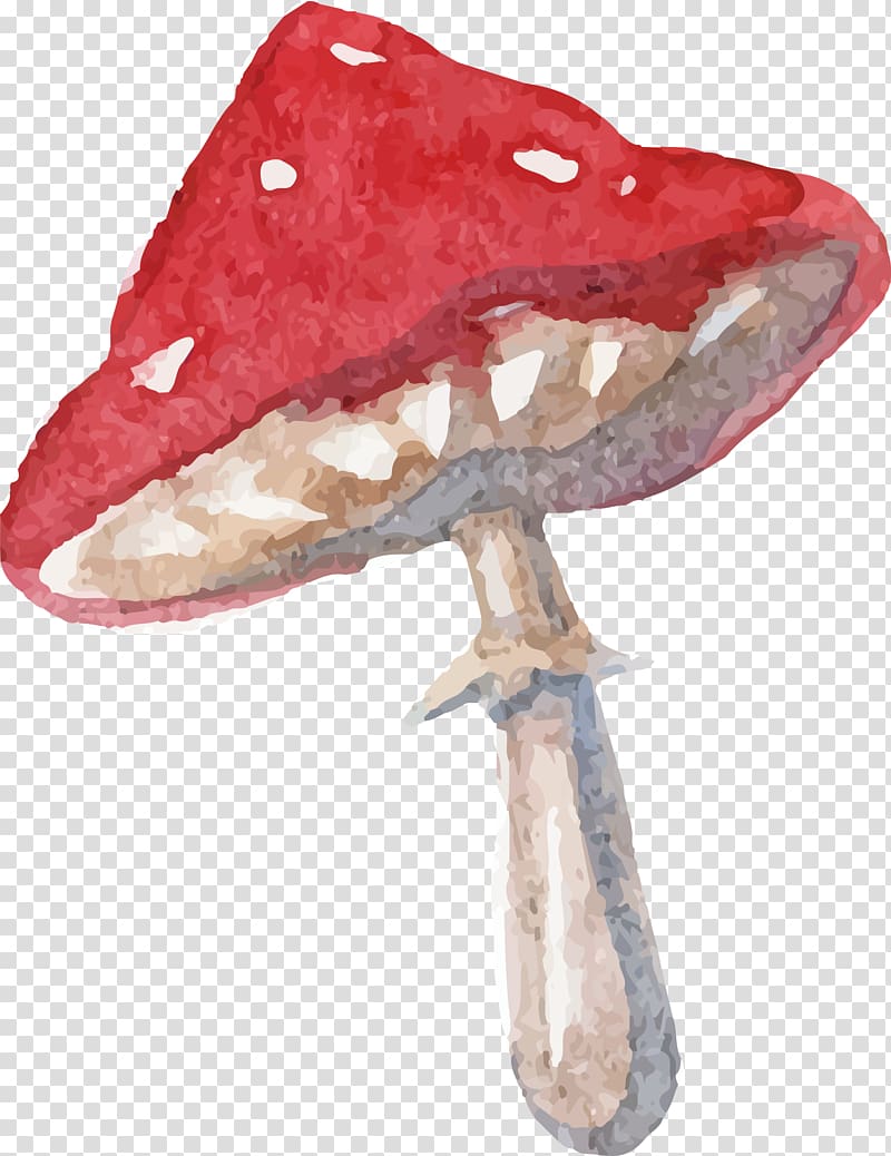 red and brown mushroom illustration, Alice\'s Adventures in Wonderland Drawing Watercolor painting Quotation, Hand drawn Mushrooms transparent background PNG clipart