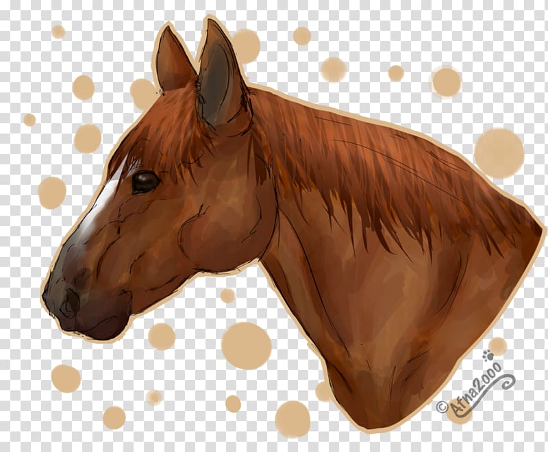 American Quarter Horse Stallion Pony Horse head mask Animation, shading transparent background PNG clipart