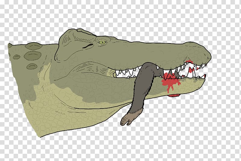 Crocodiles Crocodylus anthropophagus Voay Art Predation, others transparent background PNG clipart