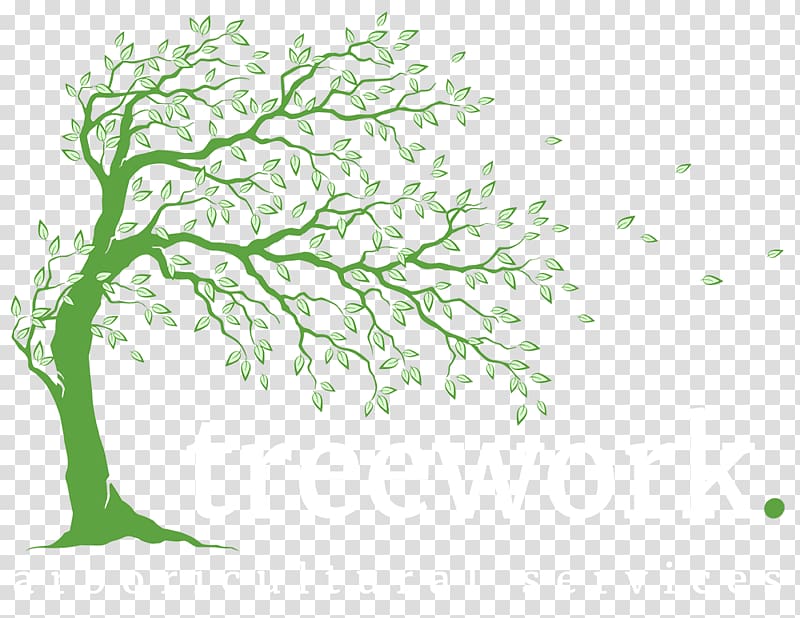 Tree Arborist Branch Woody plant, pruning trees transparent background PNG clipart